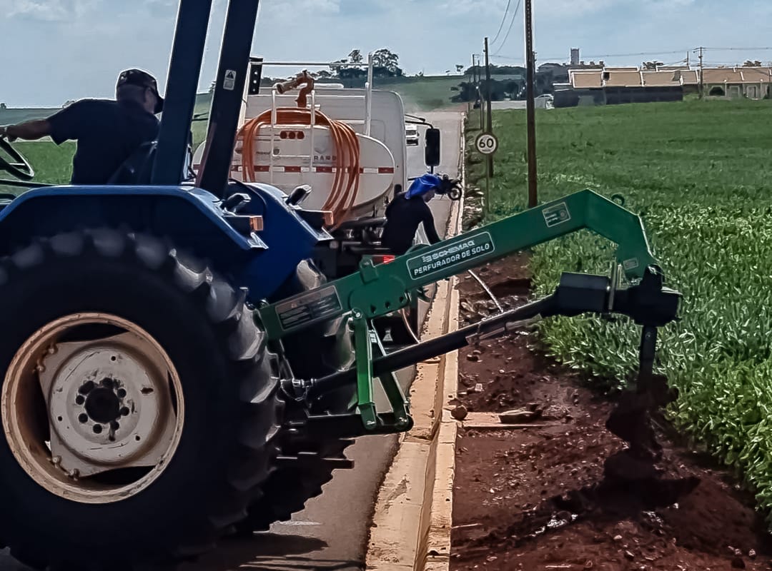 Trabalho contínuo de plantio e distribuição de mudas repõe,  amplia e valoriza arborização